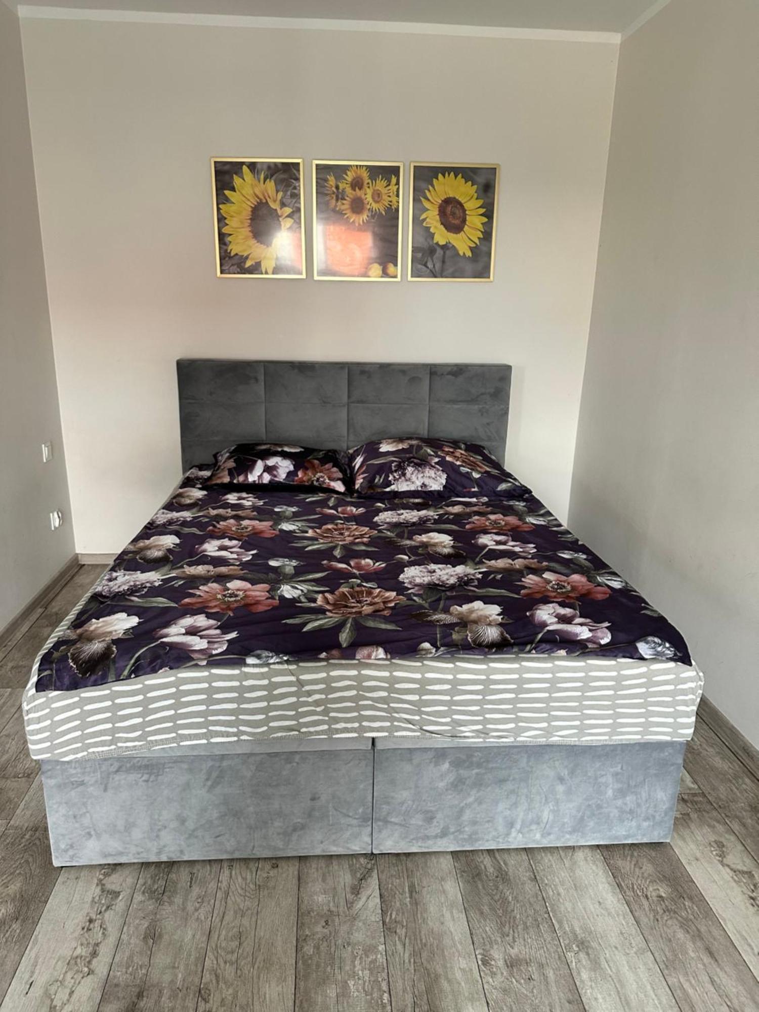 Apartamenty Bezrzecze シュチェチン エクステリア 写真